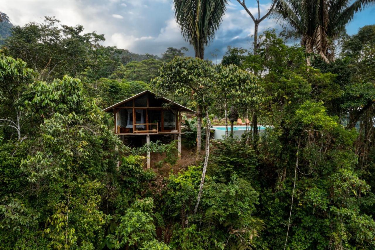 Wild Wasi Lodge - Adventures - Guided Tours Puyo Exterior photo